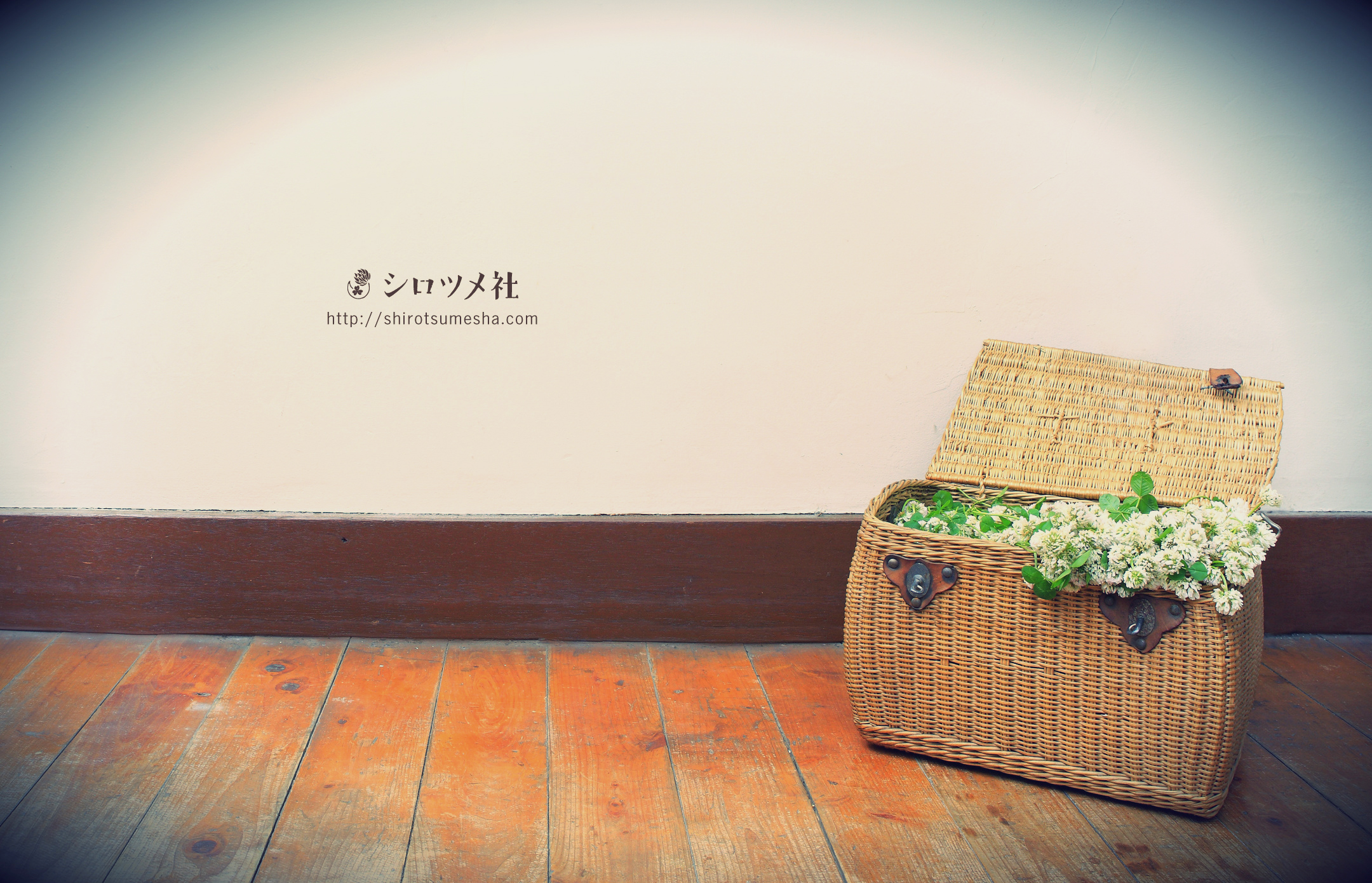 シロツメクサ,クローバー